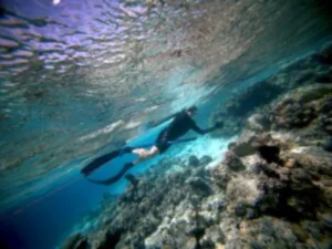 Spear fishing by a tourist near Kaluwana Island, Milne Bay Province, PNG